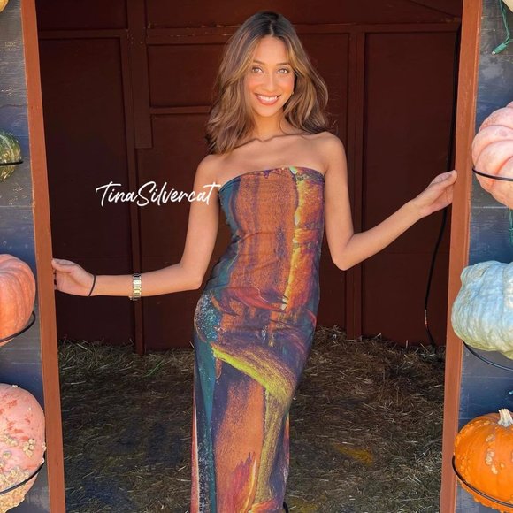 BLOGGER'S FAVE! Zara Strapless Tulle Dress NWT - Picture 5 of 17